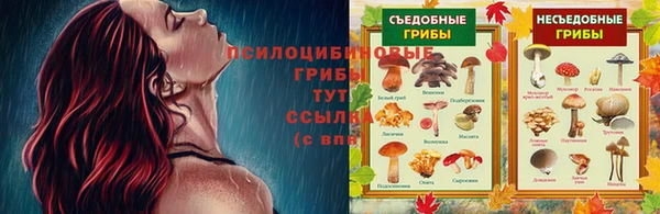 кокаин колумбия Вяземский