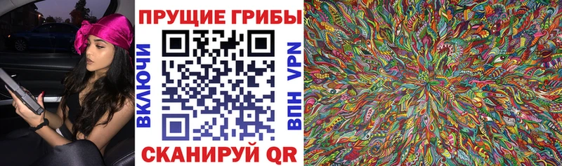 Галлюциногенные грибы прущие грибы  Зарайск 
