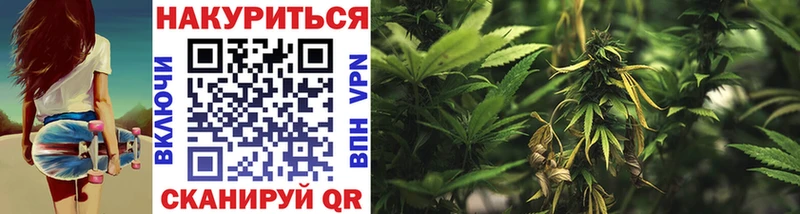 цены наркотик  Зарайск  omg ссылки  маркетплейс Telegram  Марихуана ГИДРОПОН 